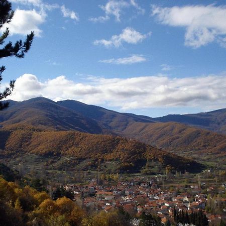 Villa Kastanodasos Embório Kültér fotó