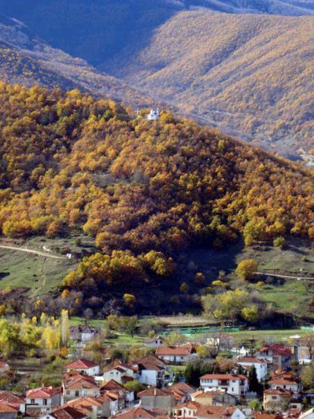 Villa Kastanodasos Embório Kültér fotó