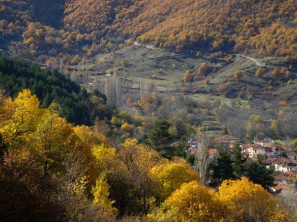 Villa Kastanodasos Embório Kültér fotó