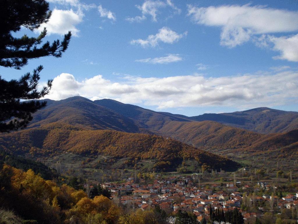 Villa Kastanodasos Embório Kültér fotó